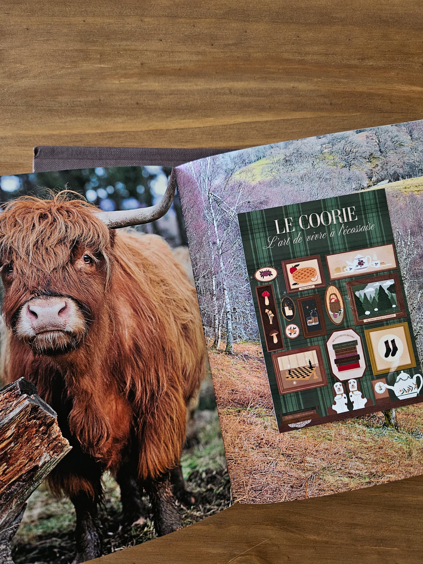 Carte postale Coorie